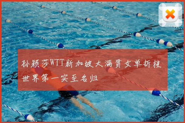 孙颖莎WTT新加坡大满贯女单折桂 世界第一实至名归